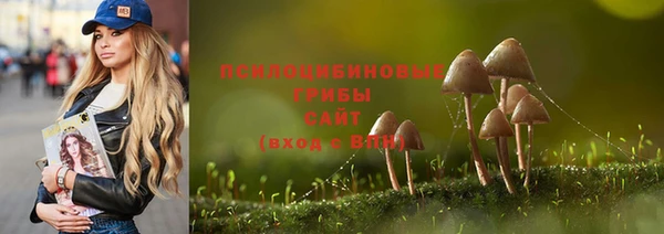 a pvp Алексин