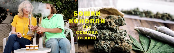 гидра Алексеевка
