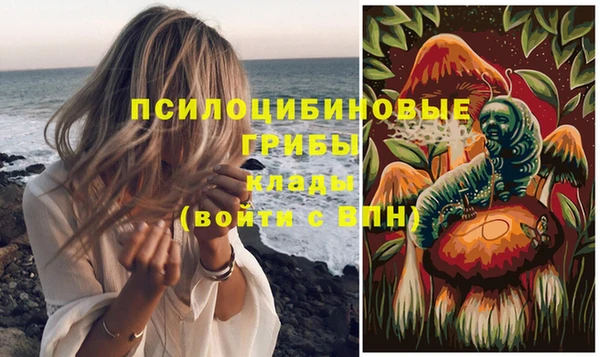 ПСИЛОЦИБИНОВЫЕ ГРИБЫ Алзамай
